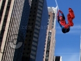 giocare Spiderman Photo Catch 2