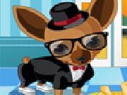 Play Fleego doggy dressup now