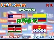 Play Flags maniac now