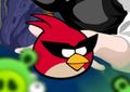 Play Angry birds pool now