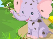 Play Elephant care now