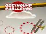 Play Greyhound challenge now