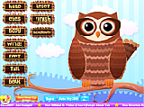 Play Owl design now
