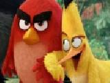 Play Angry birds shooter now