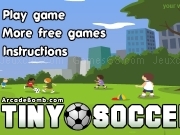 Play Tiny soccer now