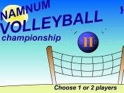 Namnum volleball championship 2