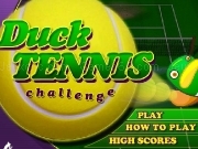 Play Duck tennis challenge now