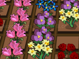 Play Bloomin gardens now