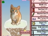 Play Cat Clicker MLG now