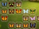 Play Butterfly Connect now