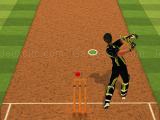 Play Cricket batter challenge now