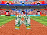 Play Cricket fielder challenge now