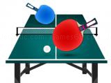 Play Table tennis pro now
