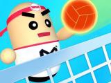 Play 3d amazing volleyball now