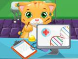 Play Cat doctor sim now