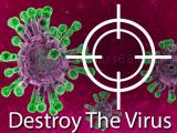 Play Destroy the virus now