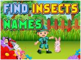 Play Find insects names now