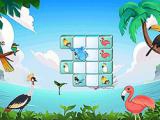 giocare Jolly jong birds