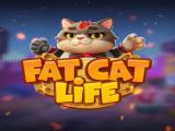 giocare Fat cat life now