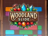 giocare Woodland slide