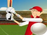 giocare Stick cricket