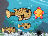 giocare Run fish run