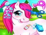 giocare Horse pet salon 3d