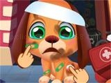 giocare Stray puppy pet care game