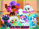 giocare Cute pets summer dress up