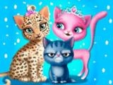 giocare Cat hair salon