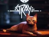 giocare Stray