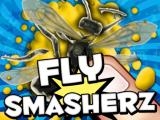 giocare Fly smasherz now