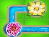 giocare Water connect flow