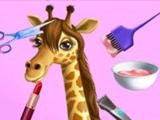 giocare Animal fashion hair salon - trendy style now
