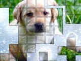 giocare Picpu dog now