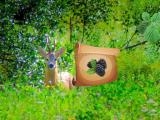 giocare Return to alsunga forest now
