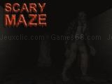 giocare Scary maze 3d now