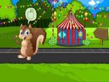 giocare Feed the squirrel