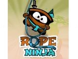 giocare Rope ninja game