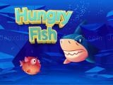 giocare Hungry fish
