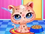 giocare Cute kitty care - pet makeover