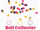 giocare Ball collector