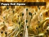 giocare Poppy bud jigsaw now