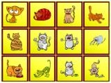 giocare Cats findiff