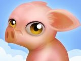 giocare Get block the pig