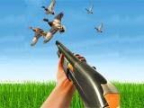 giocare Bird hunting gun fire shooter