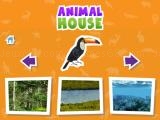 giocare Animal  house game now