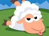 giocare Sheep run now