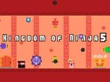 giocare Kingdom of ninja 5