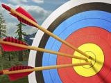 giocare Archery master 3d